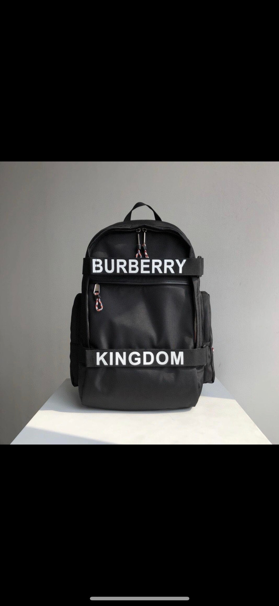 Burberry – Large Logo and Kingdom Detail Nevis Backpack