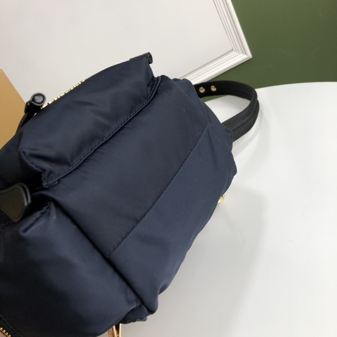 Burberry 01599