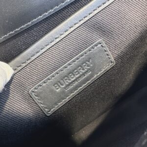 BURBERRY  031911