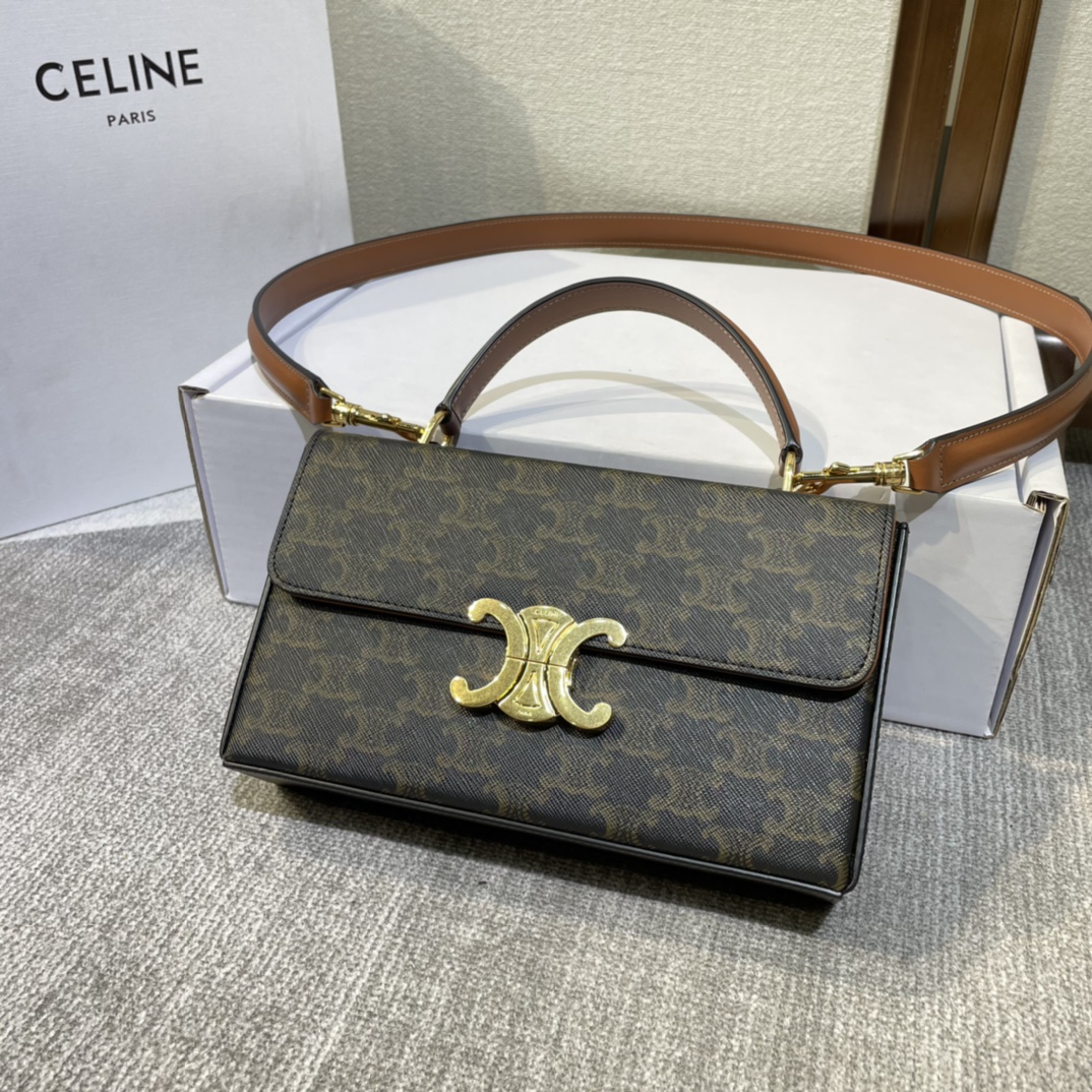 CELINE Canvas Calfskin Triomphe Box Top Handle Bag