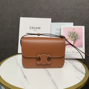 CELINE Medium Bag TRIOMPHE 199223BFN.04LU – BORDER-