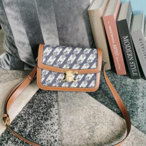 CELINE Medium Classique Triomphe Bag in Blue Canvas