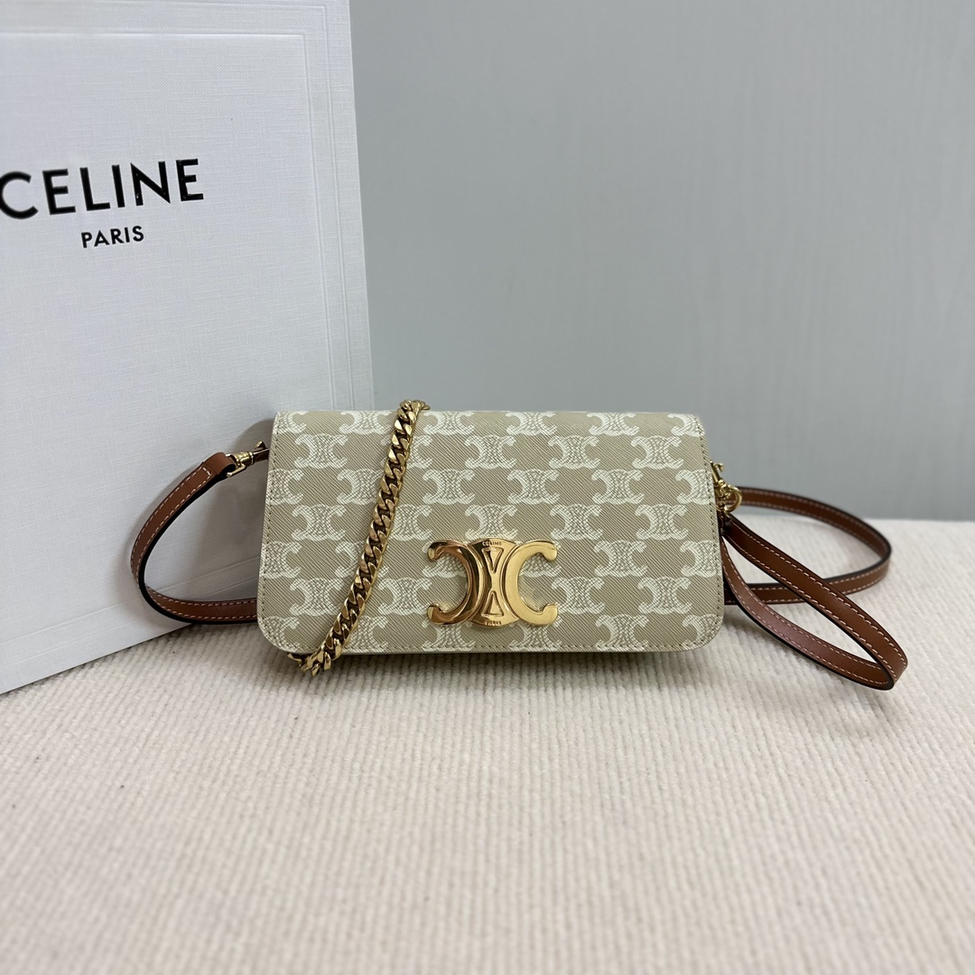 CELINE Canvas Calfskin Triomphe Multipochette Grege