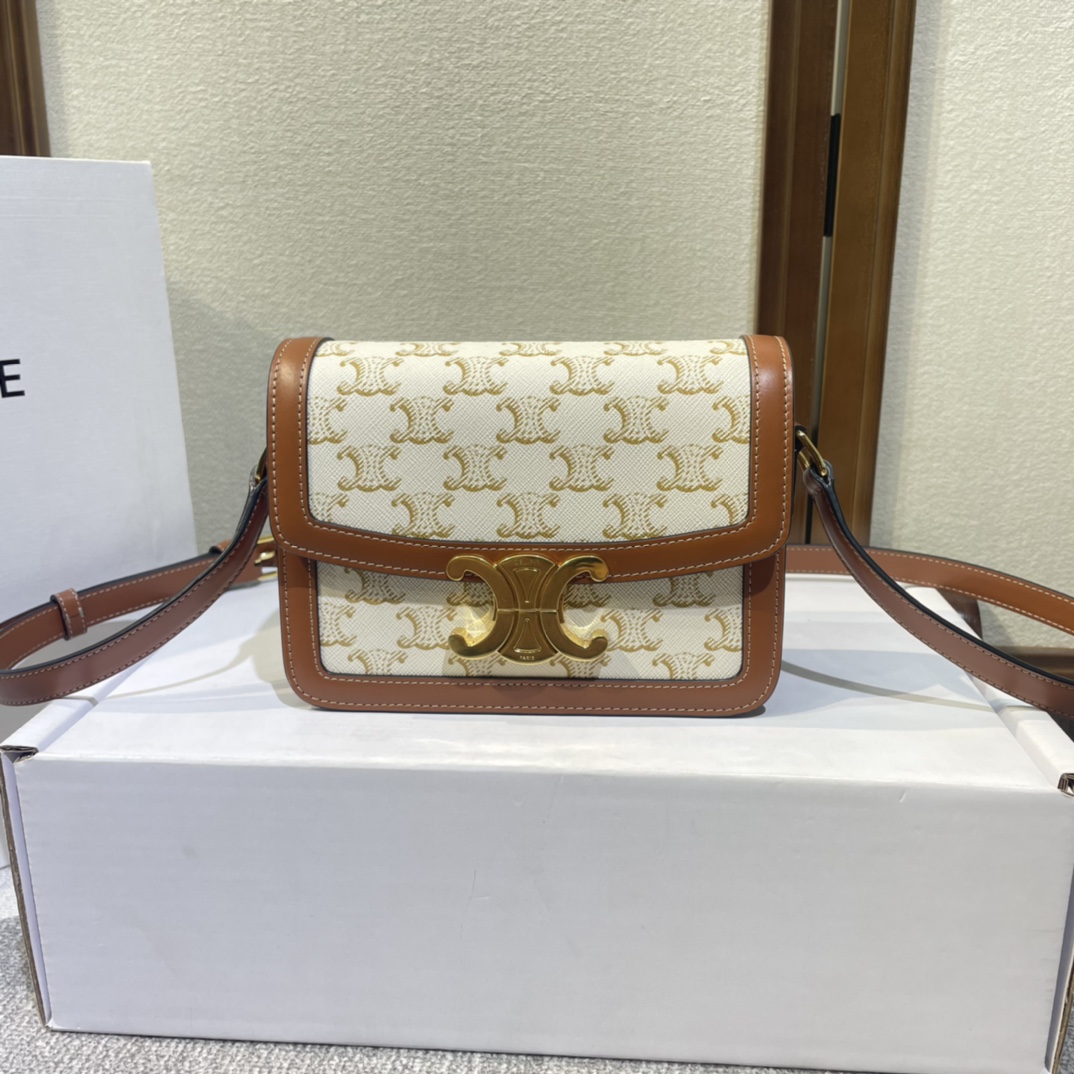 CELINE Calfskin Triomphe Canvas Teen Triomphe Bag