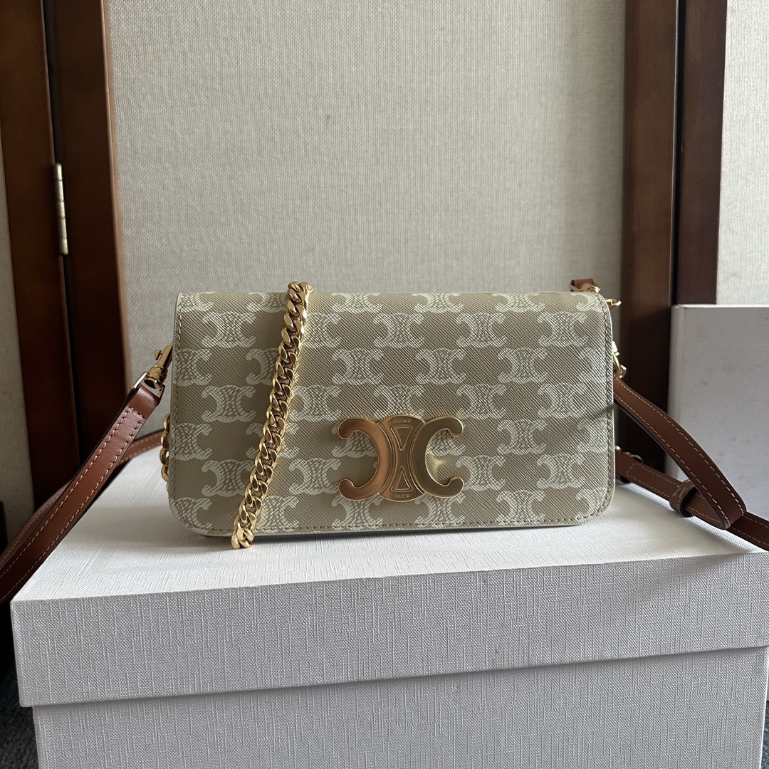 CELINE Canvas Calfskin Triomphe Multipochette Greg