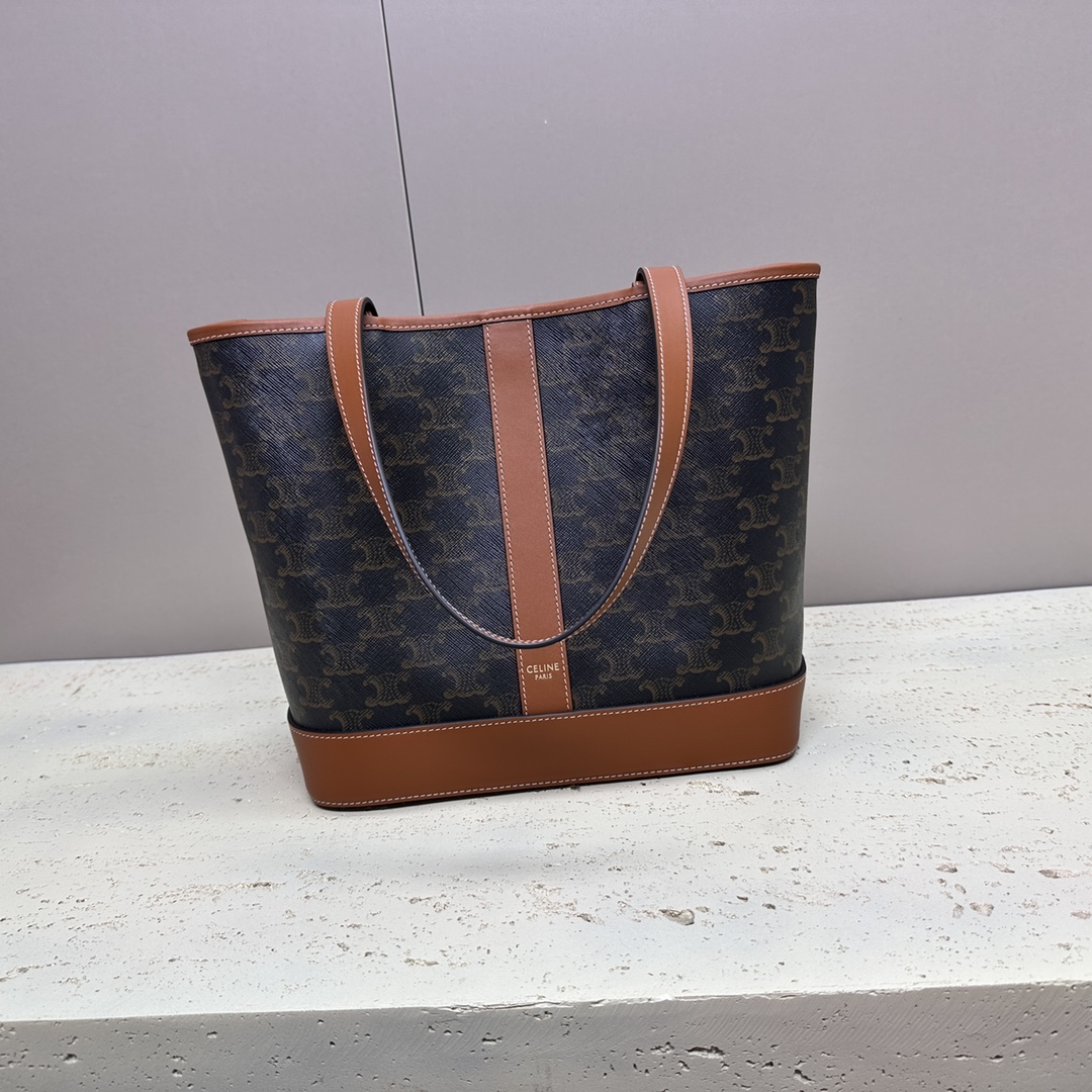 Celine Medium Cabas in Triomphe Canvas and Calfskin