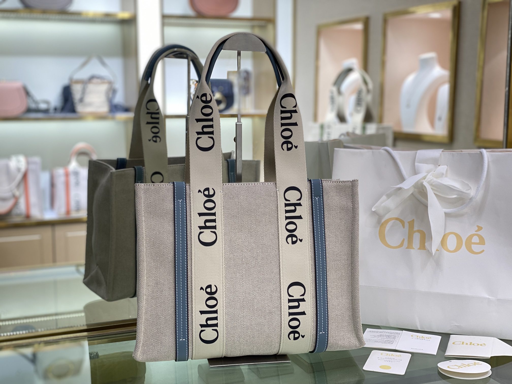 CHLOE Cotton Calfskin Medium Woody Ribbon Tote White Blue 1029921 | FASHIONPHILE