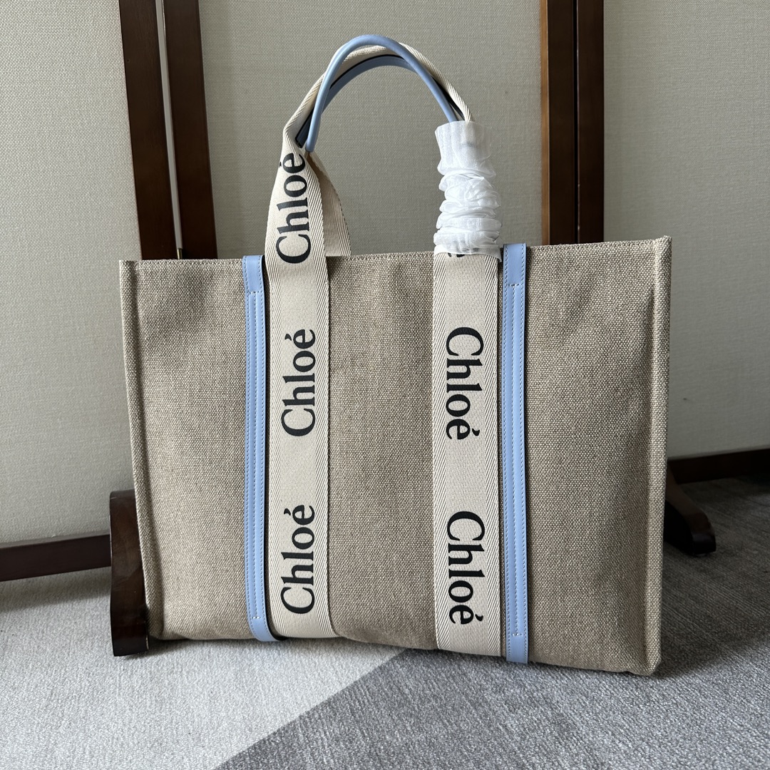 Chloe Woody Medium Tote Bag Green Blue CHC23AS383L1797S
