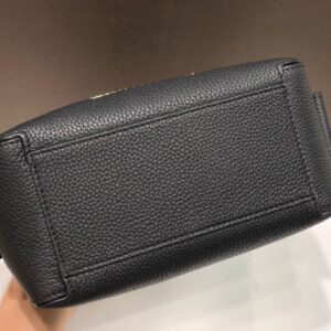Delvaux 00419