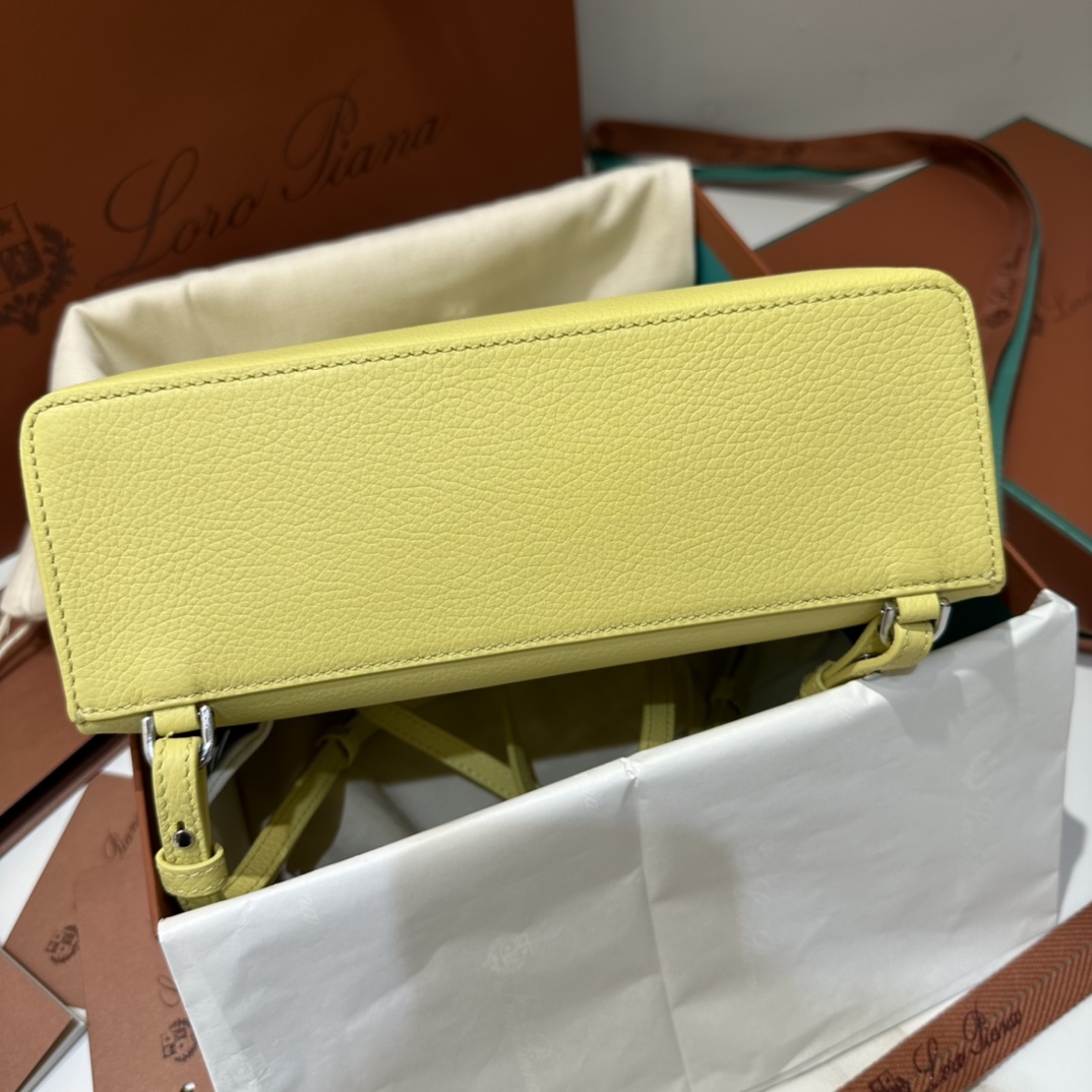 Delvaux 01499