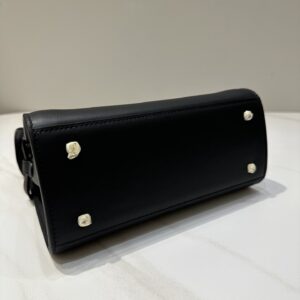 Delvaux 01669
