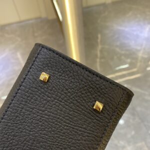 Delvaux 01699