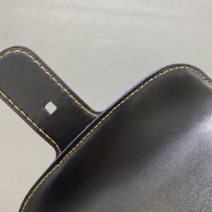 Delvaux 02379