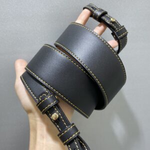 Delvaux 02389