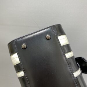 Delvaux 02569