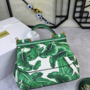 D&G   0089