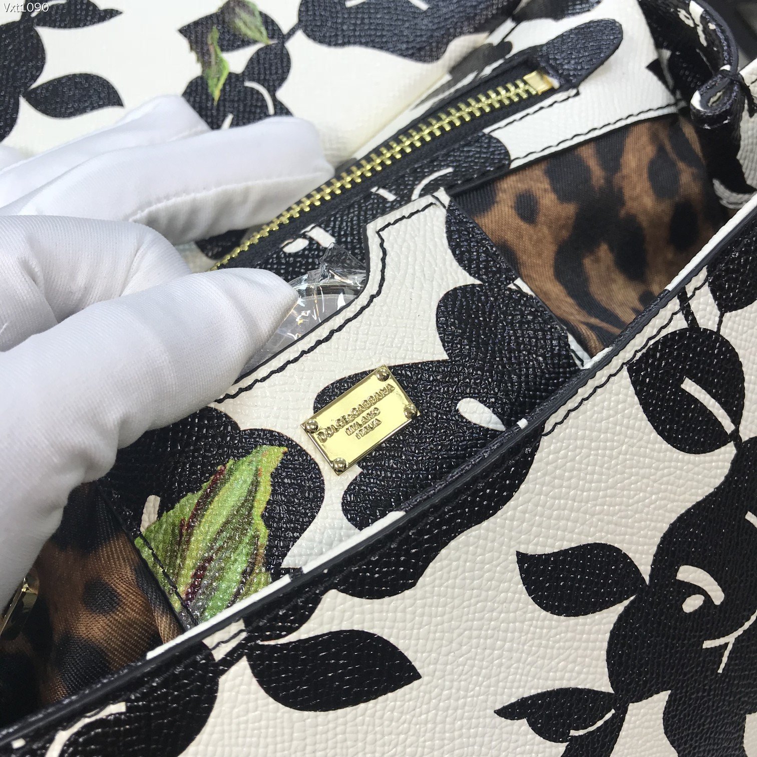 D&G   0129