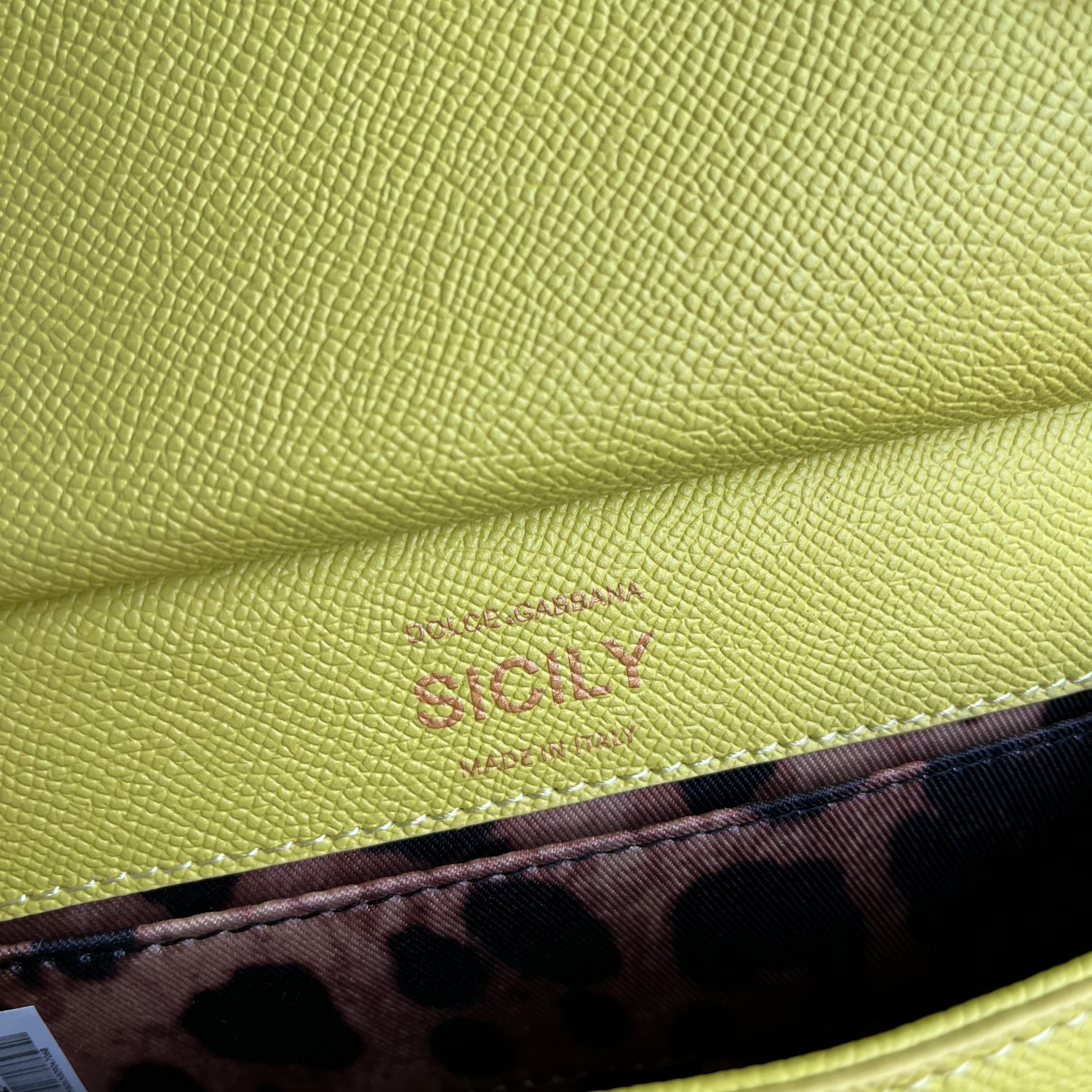 D&G   0249