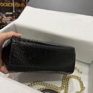 D&G 0359