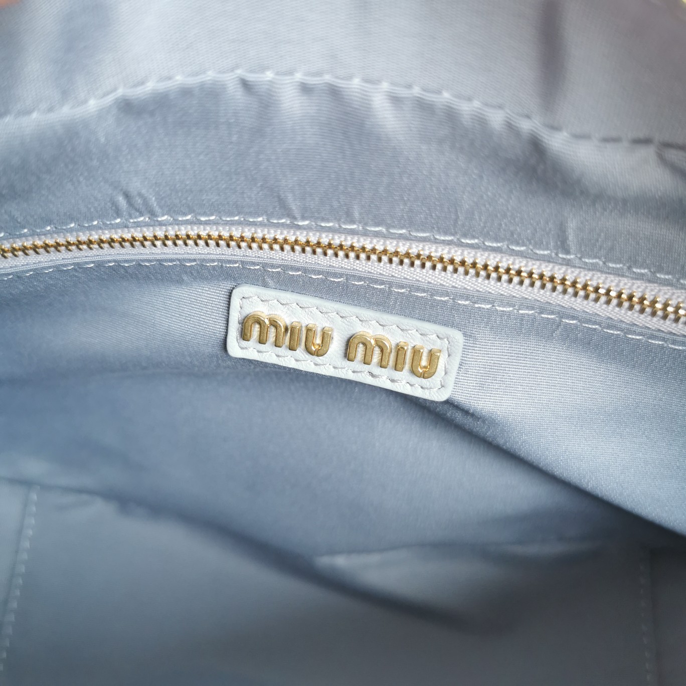 Miu Miu 01529