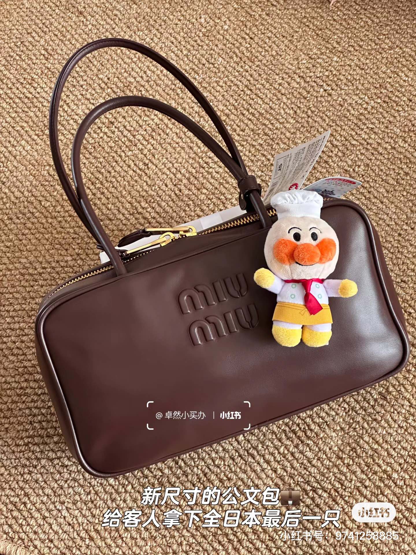 Miu Miu Briarwood Leather Beau Bag | Miu Miu