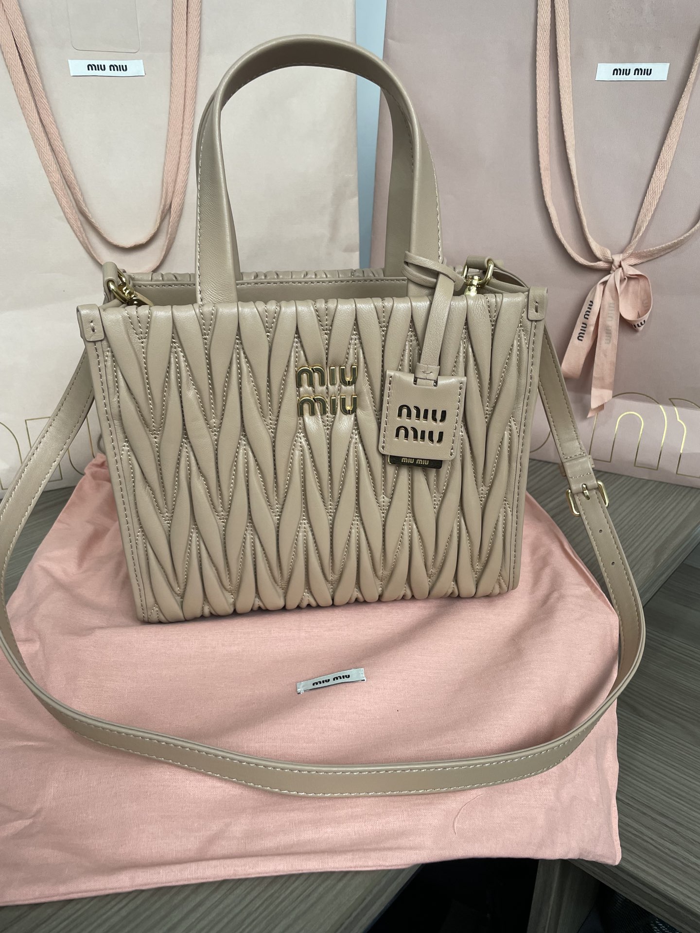 Arcadie leather handbag Miu Miu White in Leather – 53799181